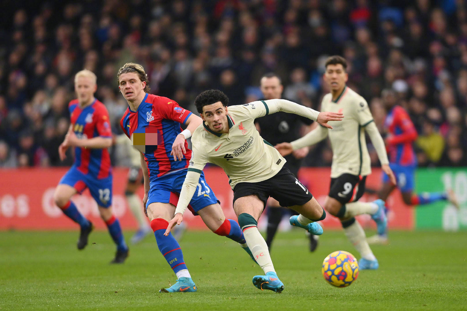 队重要的后 队重要的后