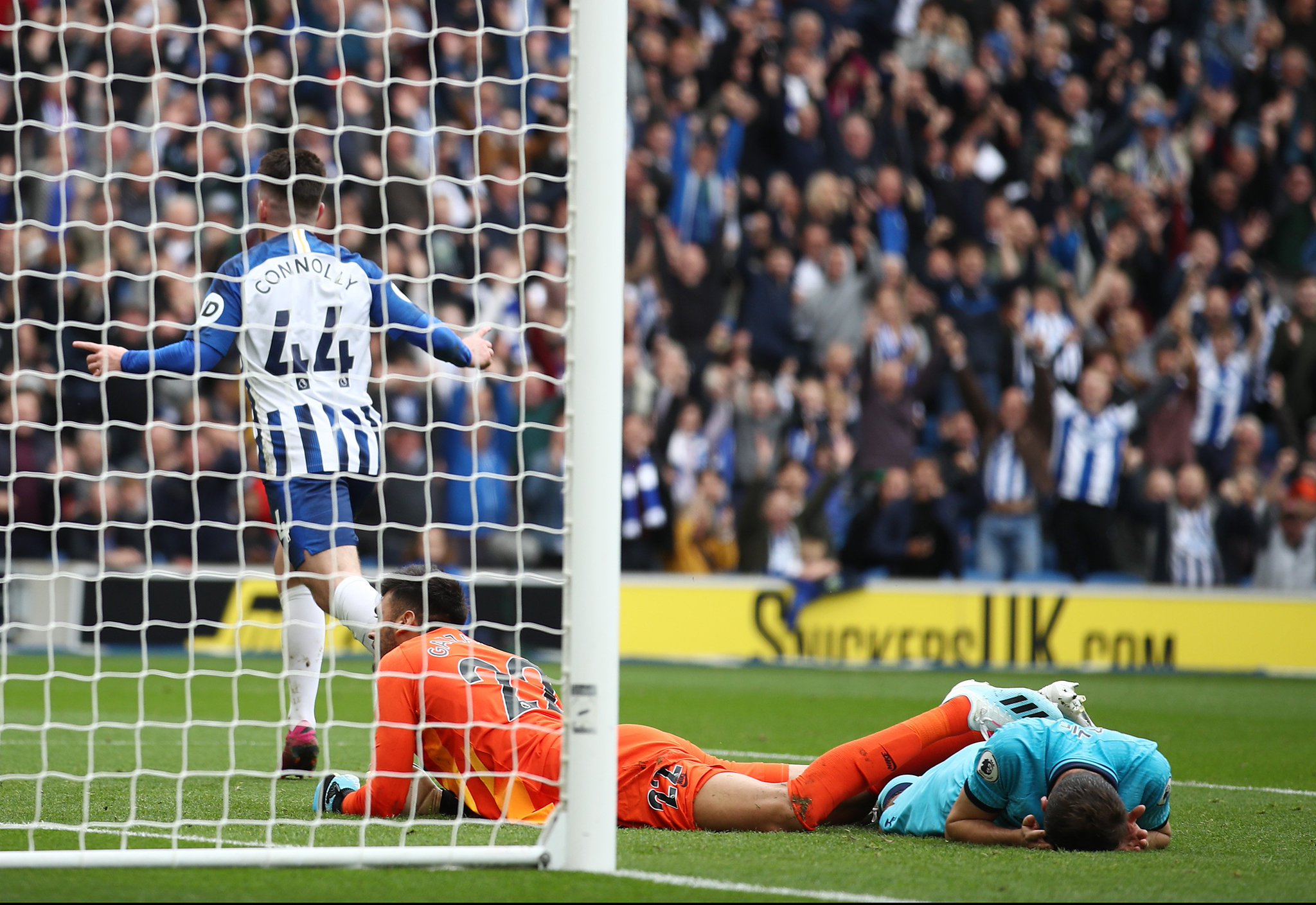 的消息在网 的消息在网