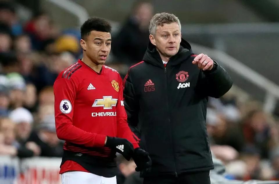 味蕾分享快 味蕾分享快